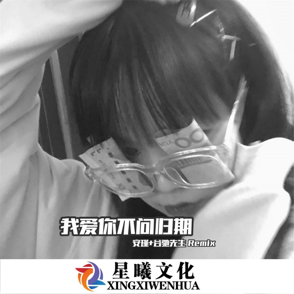 我爱你不问归期 (DJ版)
