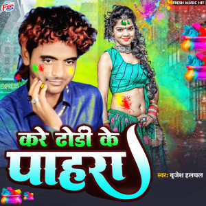 Listen to Kare Dhodi Ke Pahara song with lyrics from Brijesh Halchal