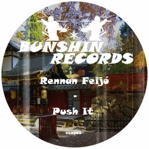 Listen to Push It song with lyrics from Rennan Feijo