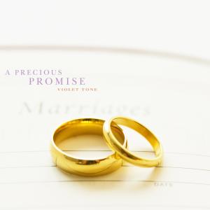 Listen to Do Not Forget song with lyrics from Violet Tone