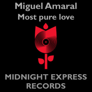 Miguel Amaral的專輯The most pure love