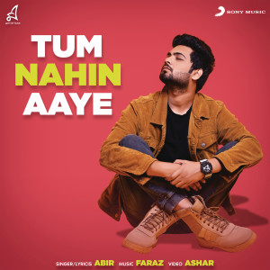 อัลบัม Tum Nahin Aaye ศิลปิน Abir