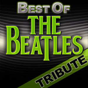 收聽The Penny Lanes的Eleanor Rigby (Original Mix)歌詞歌曲