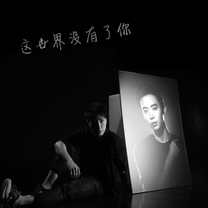 Dengarkan lagu 这世界没有了你 nyanyian 许振荣 dengan lirik