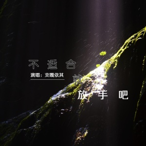 收聽支嘎依其的不適合就放手吧歌詞歌曲