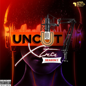 Listen to Miles Experience (Explicit) song with lyrics from afrobeatsglobal