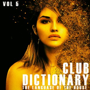 Various的专辑Club Dictionary, Vol. 5