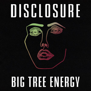 收聽Disclosure的ENERGY (Edit)歌詞歌曲