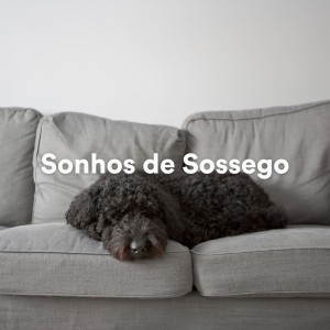 Música Para Cães Adormecidos的專輯Sonhos de Sossego