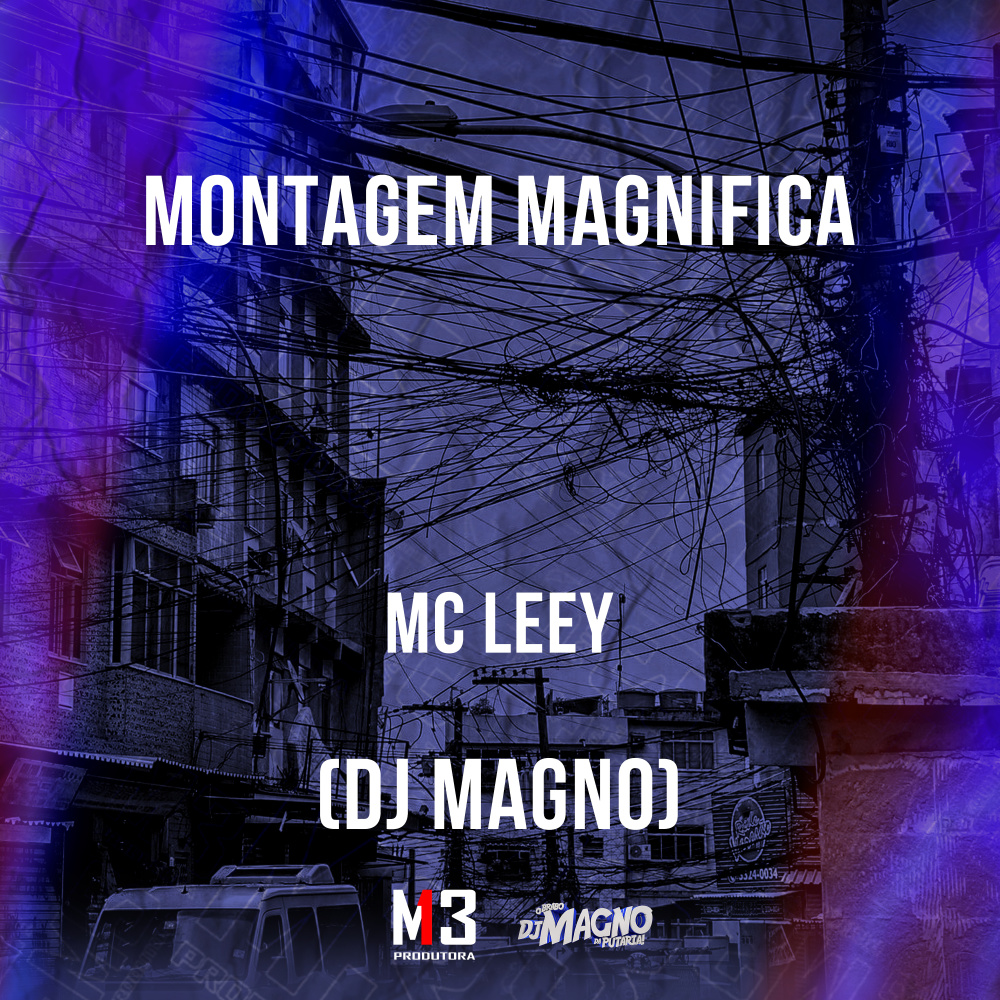 Montagem Magnifica