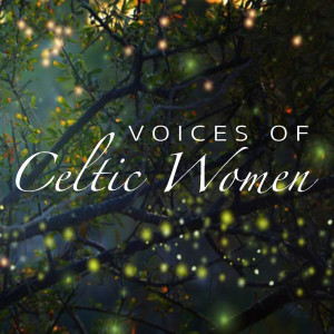 ดาวน์โหลดและฟังเพลง Deus Meus Adiuva Me พร้อมเนื้อเพลงจาก Teresa Doyle