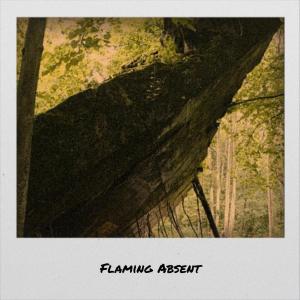Various Artists的專輯Flaming Absent