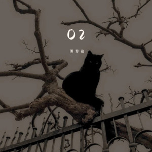 Album O2 from 傅梦彤