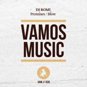 收聽Dj Romi的Promises歌詞歌曲