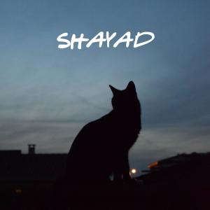 Listen to Shayad song with lyrics from Skkai