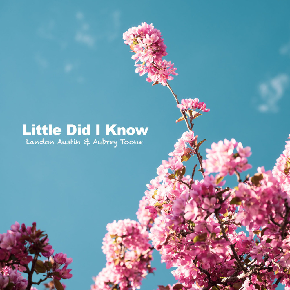 Little Did I Know (Acoustic)