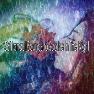 Listen to Professional Sleeper song with lyrics from Bedtime Baby