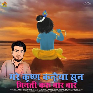 Listen to Mare Krishna Kanhaiya Sun Vinti Karu Bar Bar song with lyrics from Akbar Lunsara