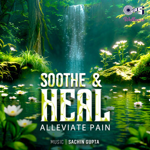 SACHIN GUPTA的專輯Soothe & Heal