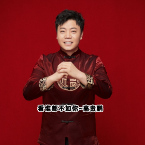 Album 歌手 高贵鹏 from 