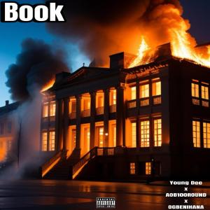 收聽AOB100round的Book (feat. OGBENIHANA & Young Dee) (Explicit)歌詞歌曲