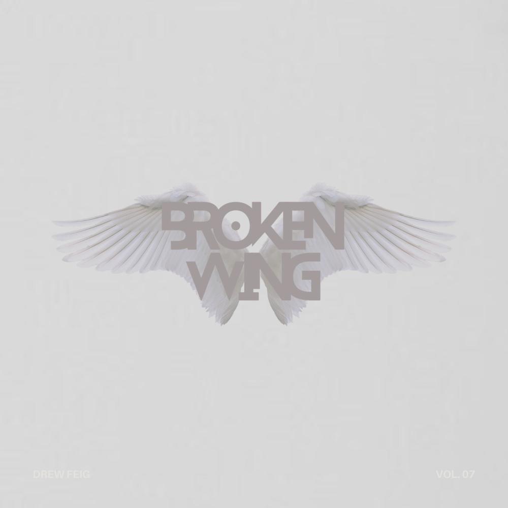 Broken Wing