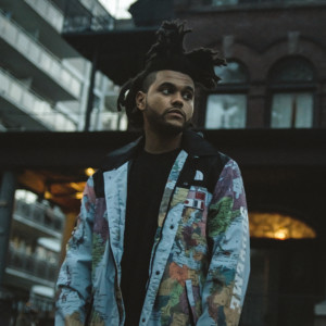 ดาวน์โหลดและฟังเพลง King Of The Fall (Explicit) พร้อมเนื้อเพลงจาก The Weeknd