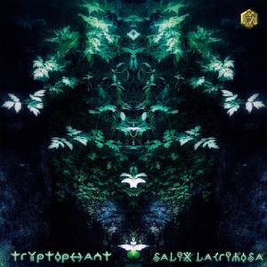 Listen to Salix Lacrimosa song with lyrics from Tryptophant