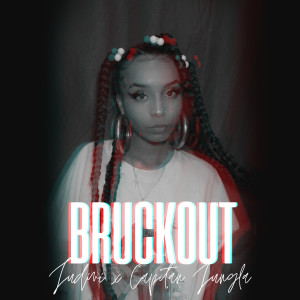 Album Bruckout from Judini