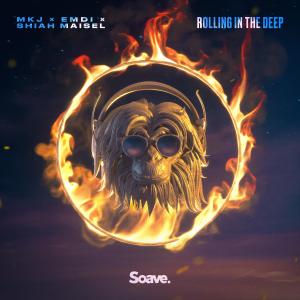 Listen to Rolling In The Deep song with lyrics from MKJ