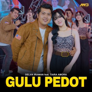 Delva Irawan的专辑Gulu Pedot
