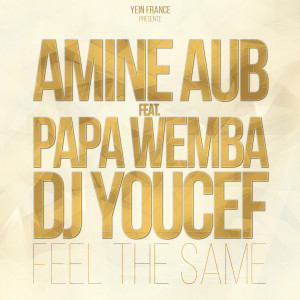 ดาวน์โหลดและฟังเพลง Feel the Same พร้อมเนื้อเพลงจาก Amine Aub