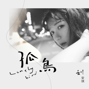 Album 孤鸟 from 刘安琪