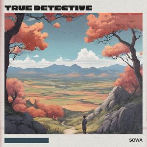 收聽Sowa的True Detective歌詞歌曲