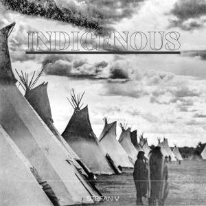 อัลบัม Indigenous (Extended Mix) ศิลปิน Stefan V