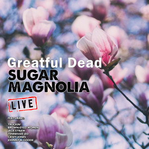 ดาวน์โหลดและฟังเพลง Truckin' (Live) พร้อมเนื้อเพลงจาก Greatful Dead