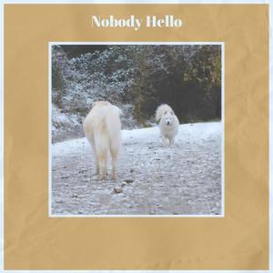 Nobody Hello dari Various Artists