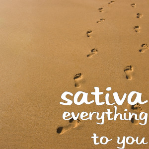 Listen to Everything to You song with lyrics from Sativa