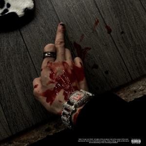 Listen to IDGAF song with lyrics from Yxung Lord