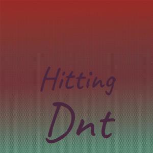 Various Artists的专辑Hitting Dnt