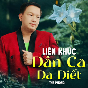 Album Liên Khúc / Dân Ca Da Diết from 