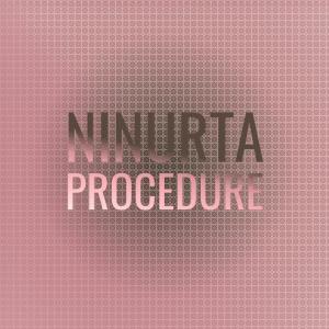 Various Artists的專輯Ninurta Procedure