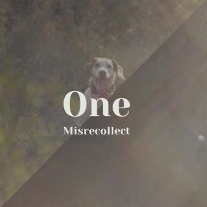 Album One Misrecollect from Various Artists