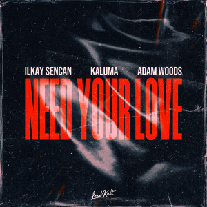 Ilkay Sencan的專輯Need Your Love