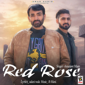 收聽Amarjeet Maan的Red Rose歌詞歌曲