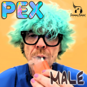 Listen to Male song with lyrics from pex
