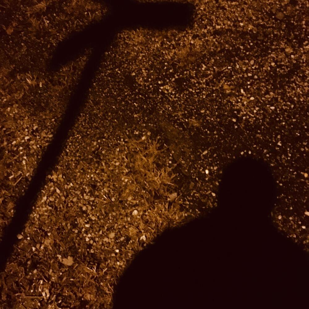 Roots Freestyle (Explicit)