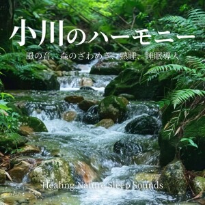 Album Healing Nature Sleep Sounds - Stream Harmony, Wind, and Forest Murmurs for Deep Sleep from 寝落ちする自然音ヒーリング音楽