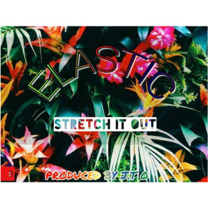Album Elastic (Stretch It Out) (Explicit) from 2Dimension
