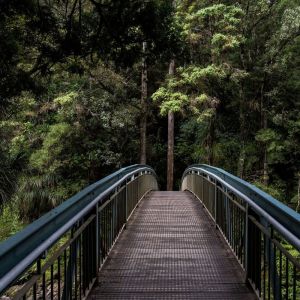 Listen to Tranquil Vibrations song with lyrics from Relaxing Spa Music